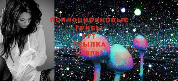 соль ск Аркадак