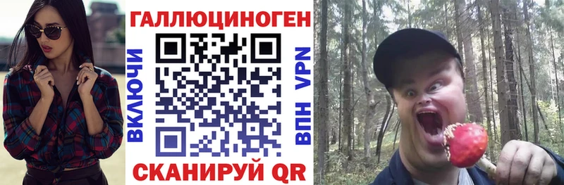 Галлюциногенные грибы Psilocybe  Тутаев 